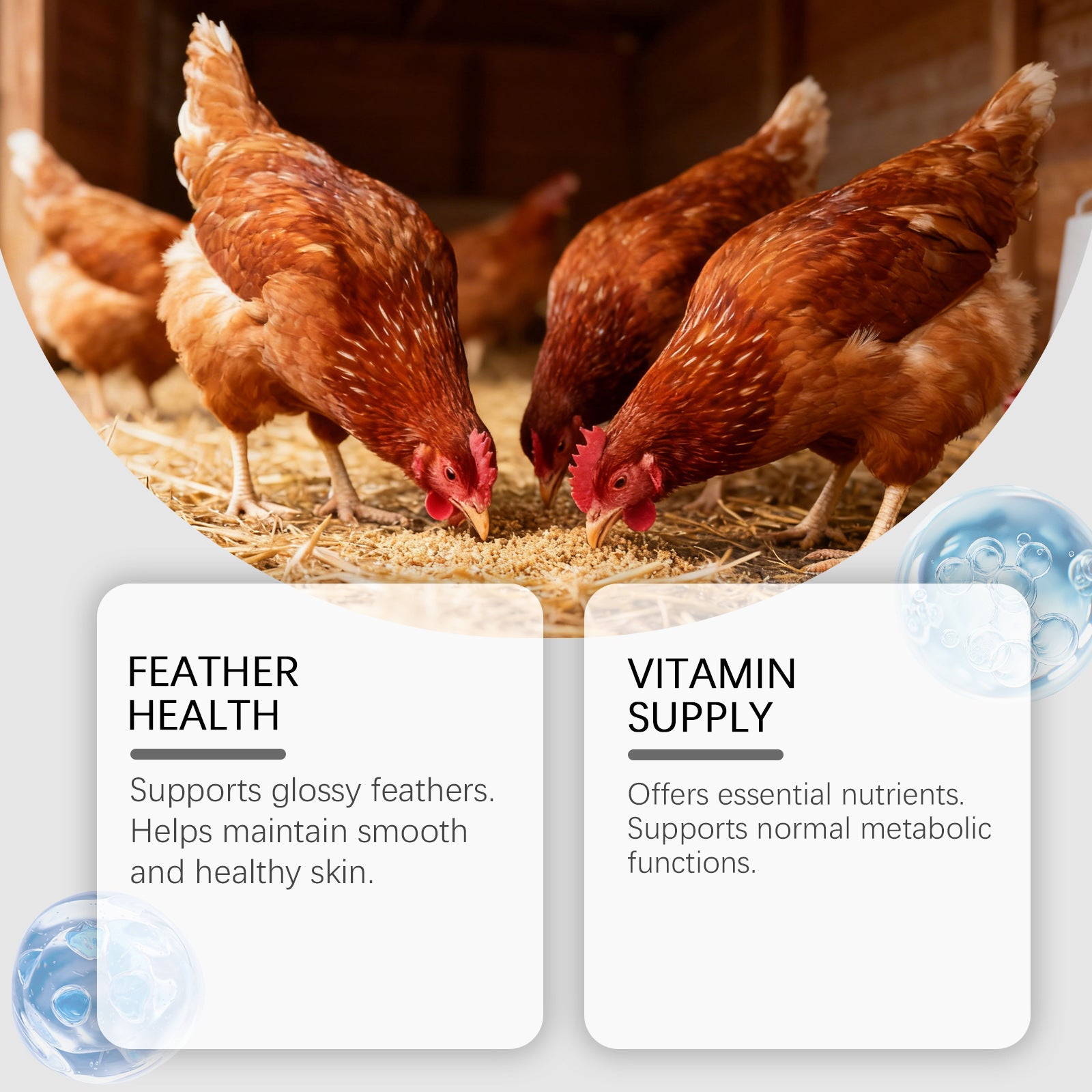 Nutritional Support Tablets For Poultry And Small Animals