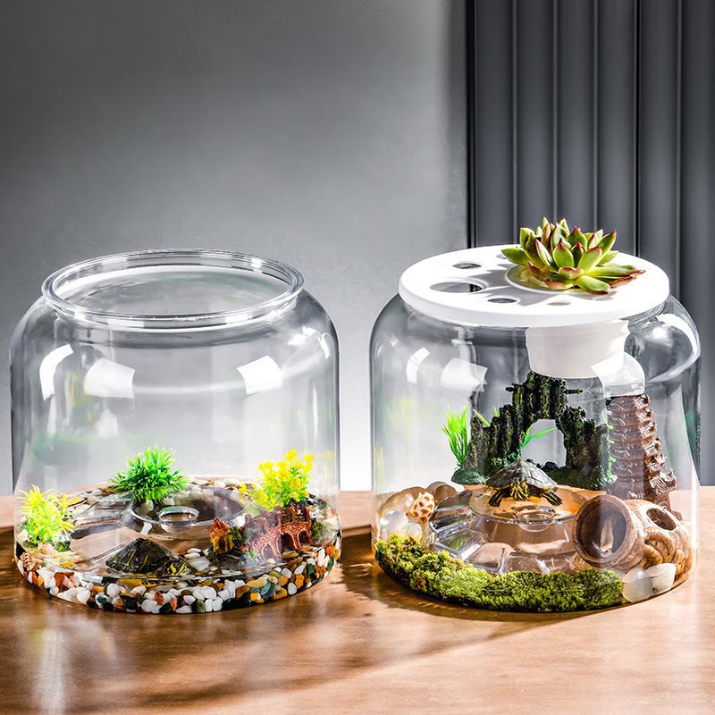 Transparent Plastic Ecological Desktop Landscaping Feeding Fish Tank
