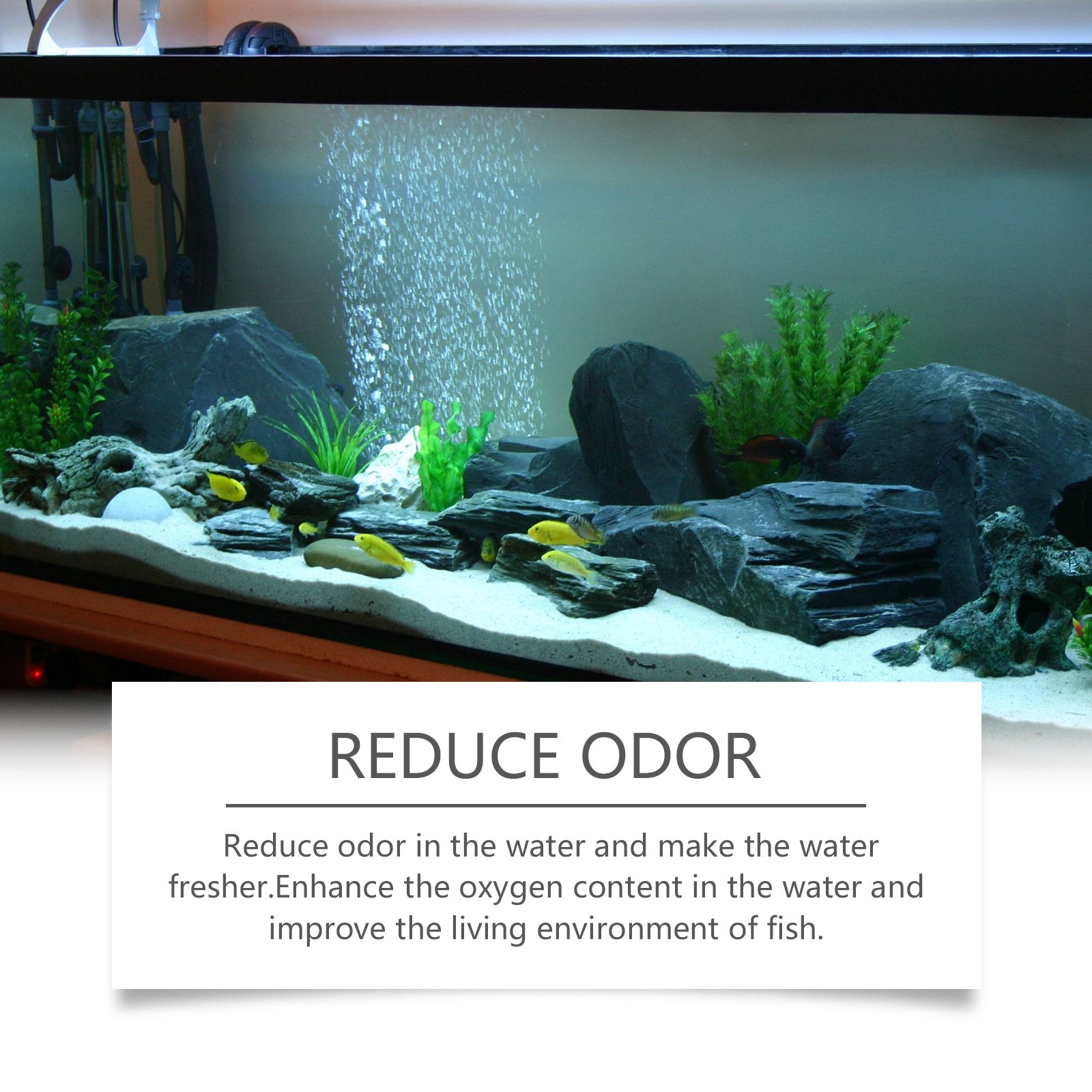 Fish Tank Water Quality Decontamination Cleaner