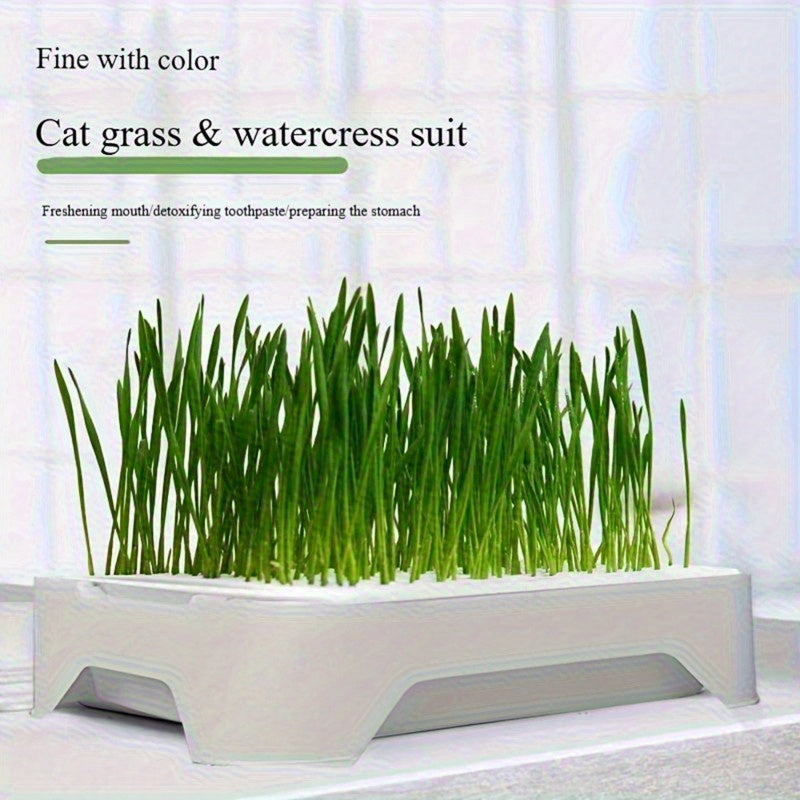 A Versatile Indoor Cat Grass Planting Box That Can Be Used for 365 Days - Features a 3-Layer Detachable Design with a Soil-Free Hydroponic System, Spill-Proof Edge Design, And a Compact White Plastic Planter That Saves Space