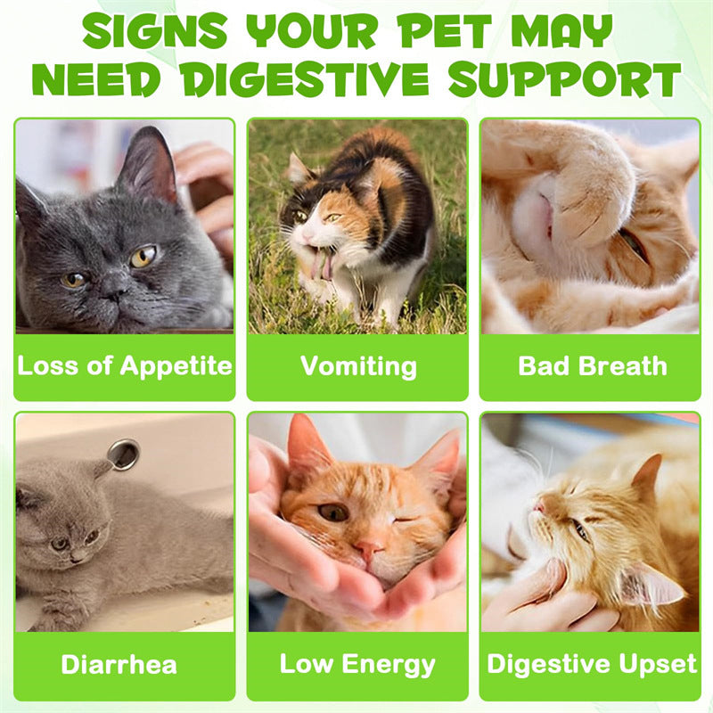 3-in-1 Probiotics For Cats With Prebiotic And Enzymes