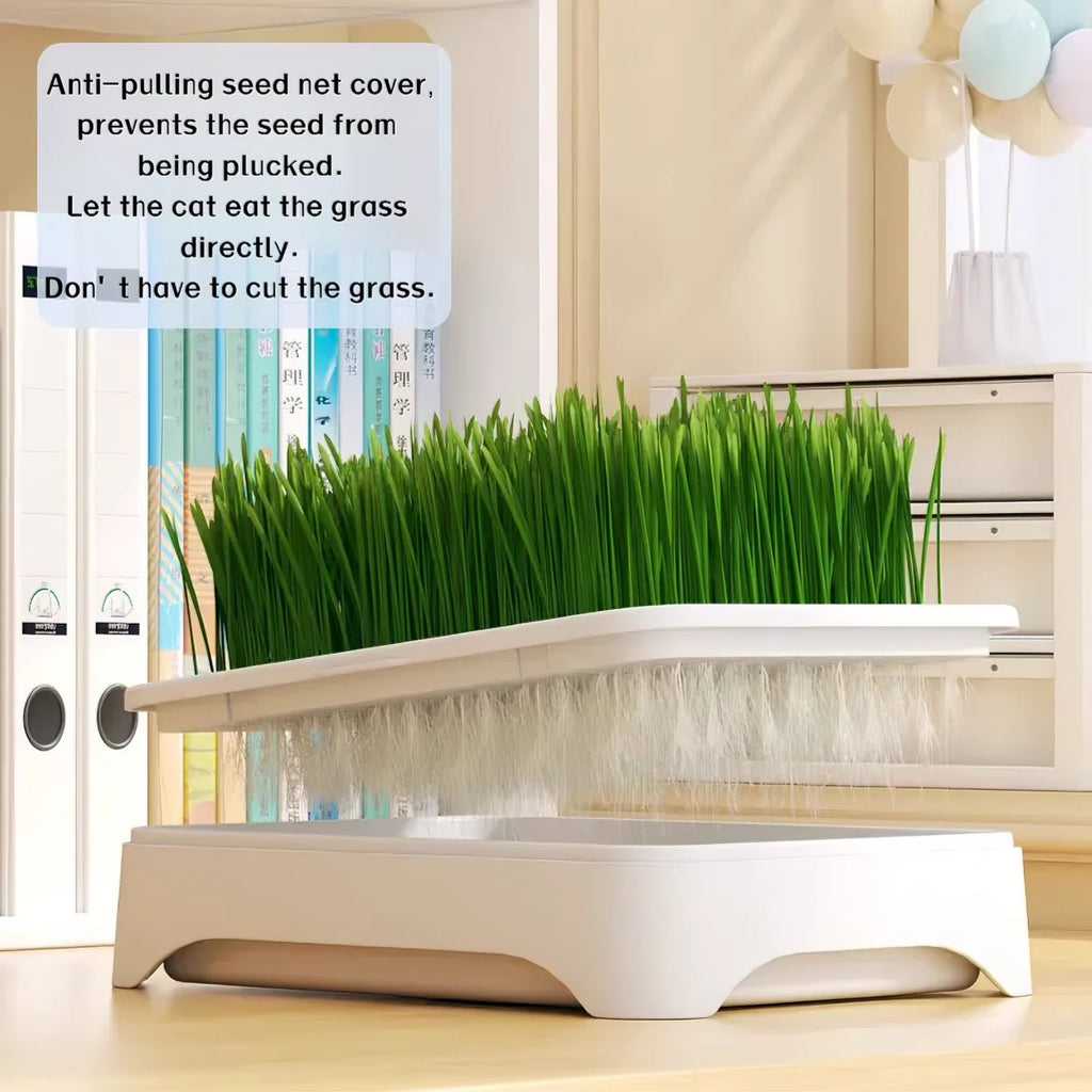 A Versatile Indoor Cat Grass Planting Box That Can Be Used for 365 Days - Features a 3-Layer Detachable Design with a Soil-Free Hydroponic System, Spill-Proof Edge Design, And a Compact White Plastic Planter That Saves Space