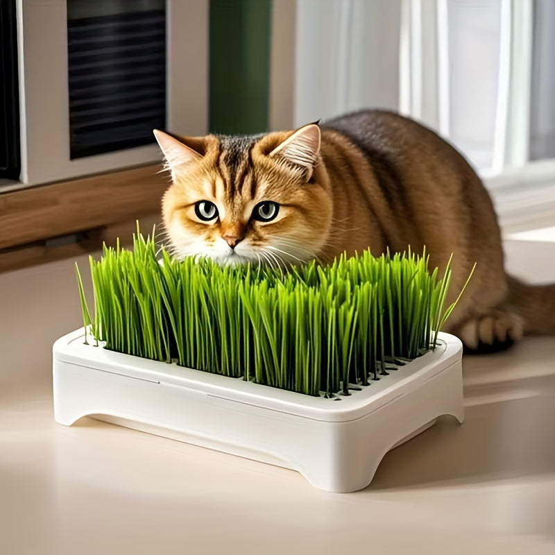 A Versatile Indoor Cat Grass Planting Box That Can Be Used for 365 Days - Features a 3-Layer Detachable Design with a Soil-Free Hydroponic System, Spill-Proof Edge Design, And a Compact White Plastic Planter That Saves Space