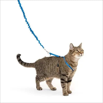 PetSafe kitty leash