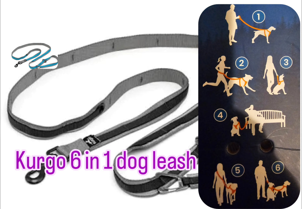 Kurgo 6-1 Quantum dog leash
