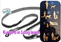 Kurgo 6-1 Quantum dog leash