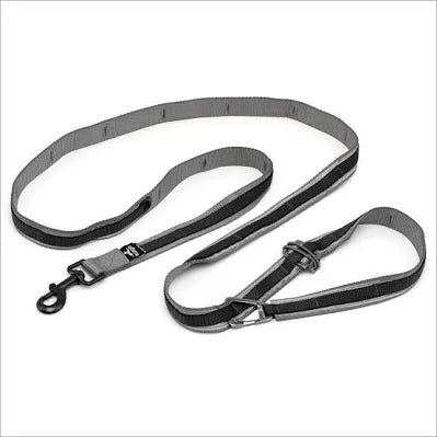 Kurgo 6-1 Quantum dog leash