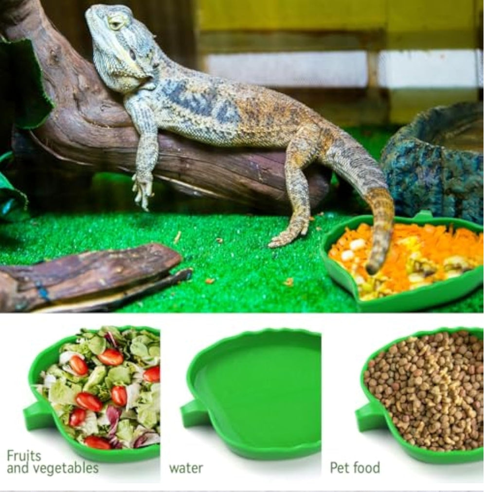 2 Pcs Leaf Reptile Food Water Bowl Plate Dish For Tortoise, Lizards, Young Bearded Dragons, Small Snakes, 2 Sizes